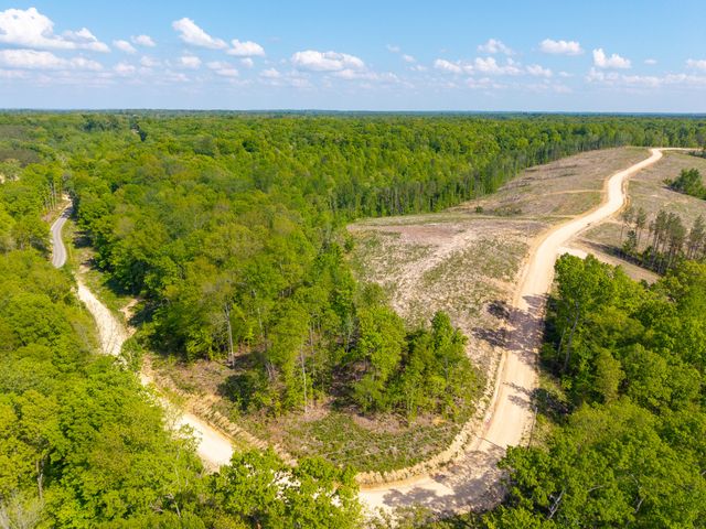 0 Cox Hollow, Dover, TN 37058