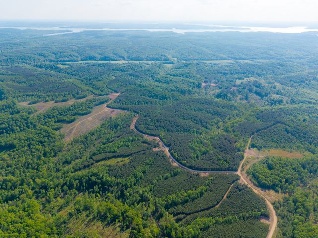 0 Cox Hollow, Dover, TN 37058