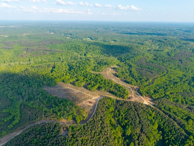 0 Cox Hollow, Dover, TN 37058