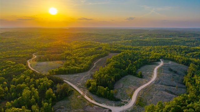 0 Cox Hollow, Dover, TN 37058