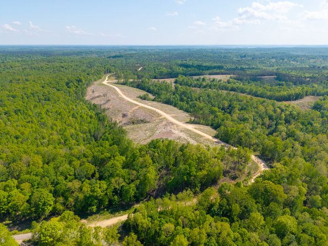 0 Cox Hollow, Dover, TN 37058