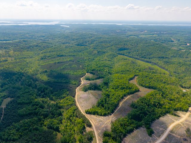 0 Cox Hollow, Dover, TN 37058