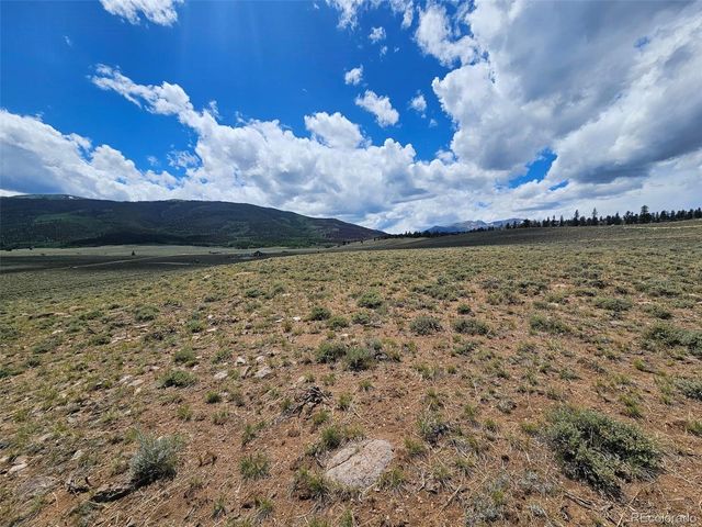 Parcel 11, Tract 9, Twin Lakes, CO 81251