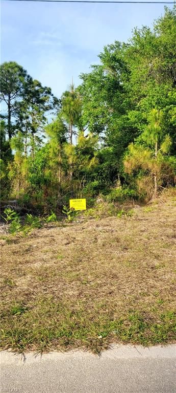961 IRIS ST E, LEHIGH ACRES, FL 33974 — exterior