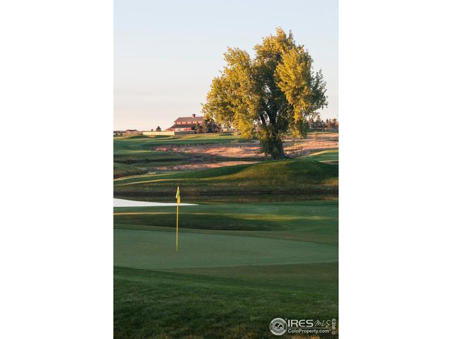 6227 Vernazza Way 4, Windsor, CO 80550