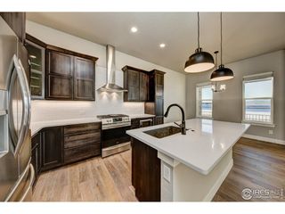 6227 Vernazza Way 4, Windsor, CO 80550