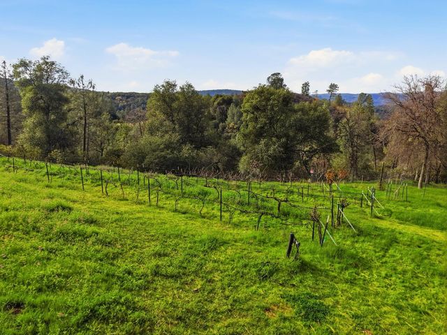 8421 Riverwood Dr, Placerville, CA 95667