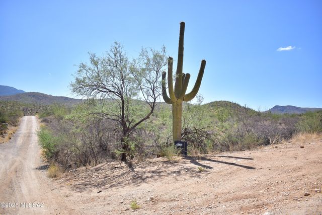 8231 S Pistol Hill Road, Vail, AZ 85641