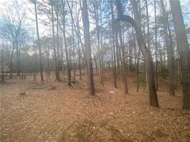 3493 Citrus Drive, Duluth, GA 30096