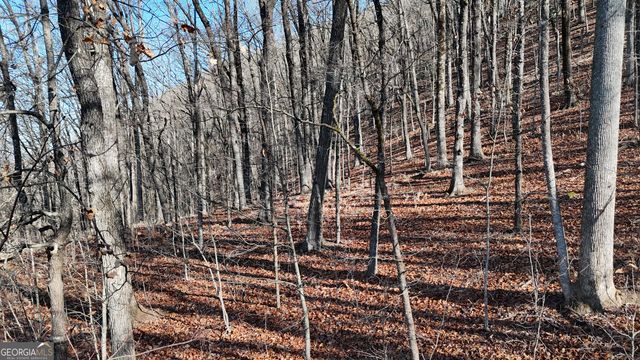 LOT 45 Mountainside Drive, Cleveland, GA 30528