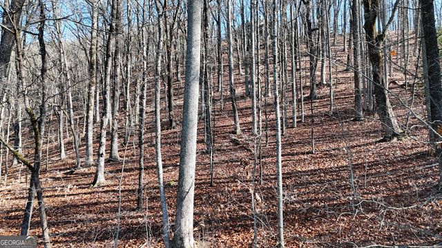 LOT 45 Mountainside Drive, Cleveland, GA 30528