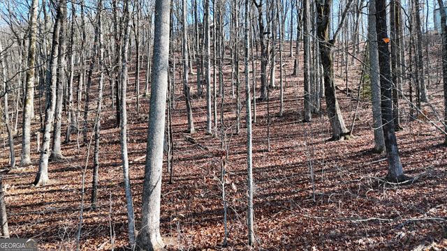 LOT 45 Mountainside Drive, Cleveland, GA 30528