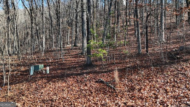 LOT 45 Mountainside Drive, Cleveland, GA 30528