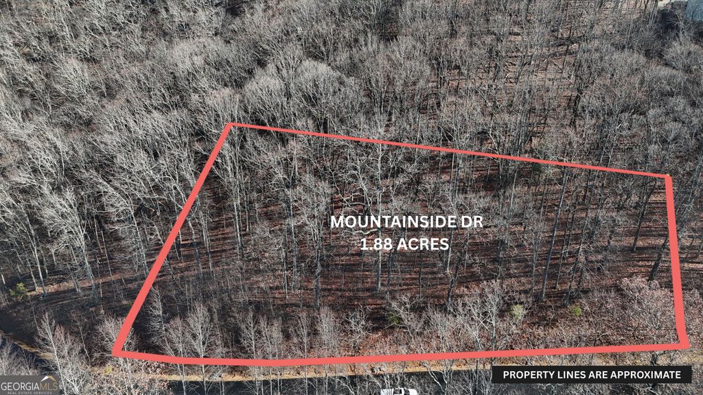 LOT 45 Mountainside Drive, Cleveland, GA 30528