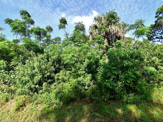 0 Oleander Avenue, Fort Pierce, FL 34982