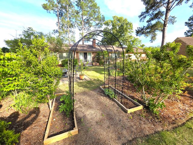 424 Santee Drive, Santee, SC 29142