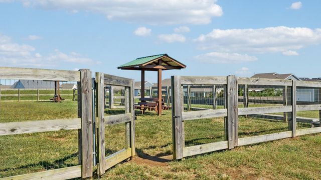 323 Harvest Point Blvd, Spring Hill, TN 37174