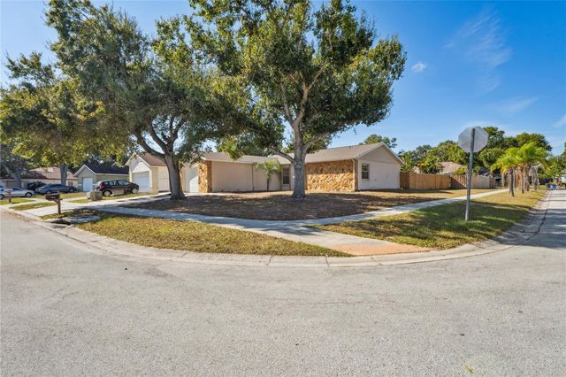 11321 BLACKBARK DRIVE, Riverview, FL 33579