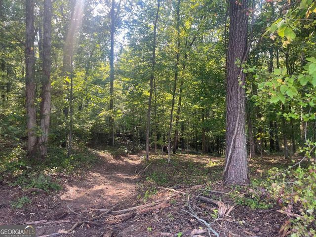 6 Acres Henry Scott, Ball Ground, GA 30107