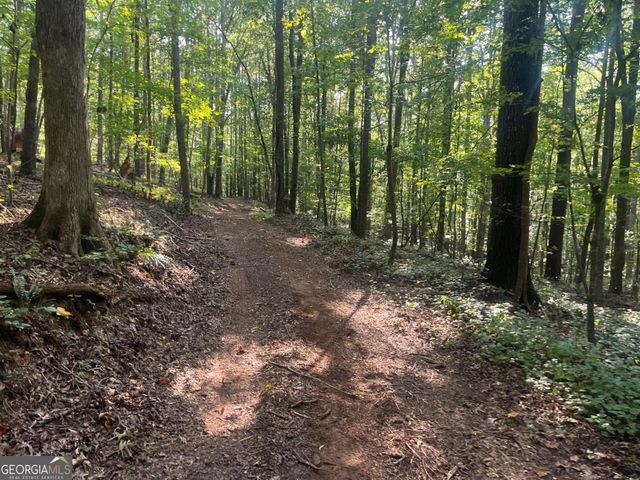 6 Acres Henry Scott, Ball Ground, GA 30107