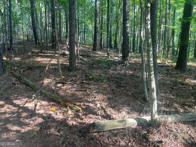 6 Acres Henry Scott, Ball Ground, GA 30107