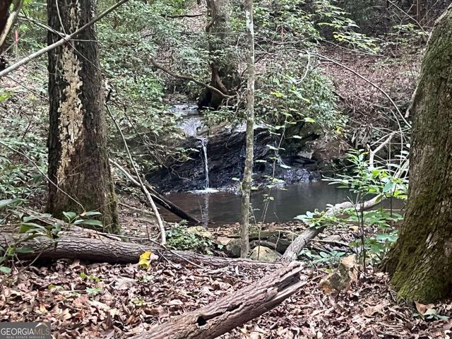 6 Acres Henry Scott, Ball Ground, GA 30107