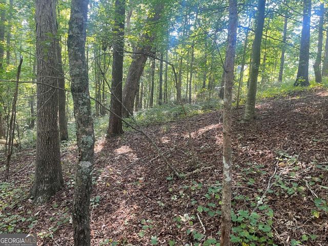 6 Acres Henry Scott, Ball Ground, GA 30107
