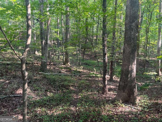 6 Acres Henry Scott, Ball Ground, GA 30107