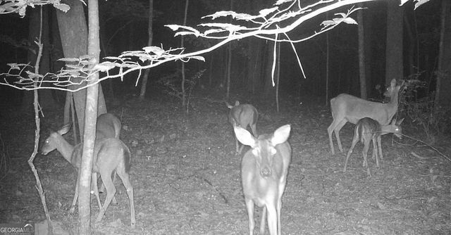 6 Acres Henry Scott, Ball Ground, GA 30107