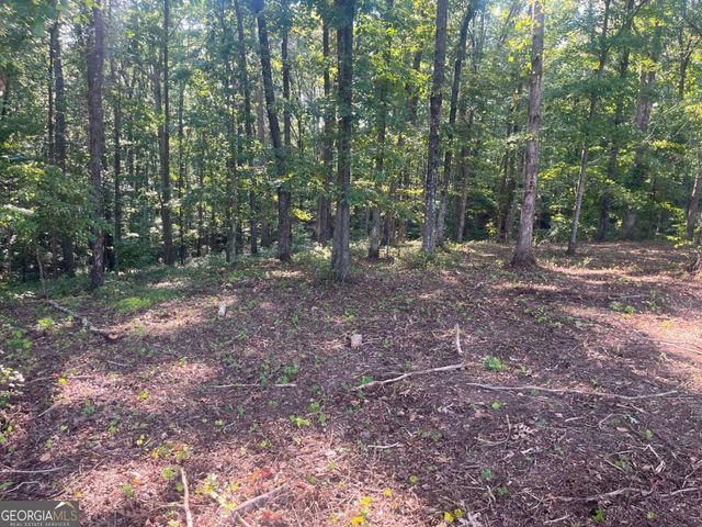 6 Acres Henry Scott, Ball Ground, GA 30107