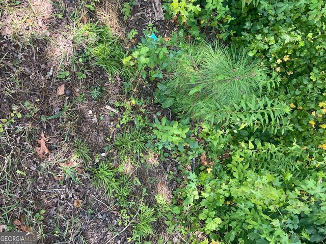 6 Acres Henry Scott, Ball Ground, GA 30107