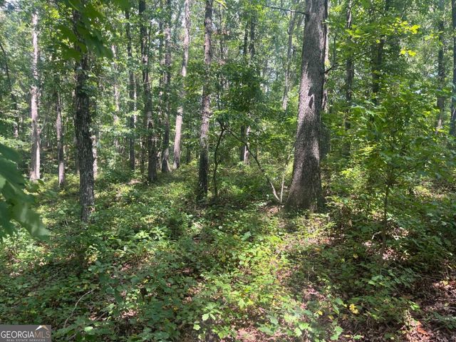 6 Acres Henry Scott, Ball Ground, GA 30107