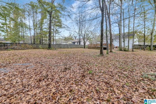 4710 HOLLOW LANE, Helena, AL 35080