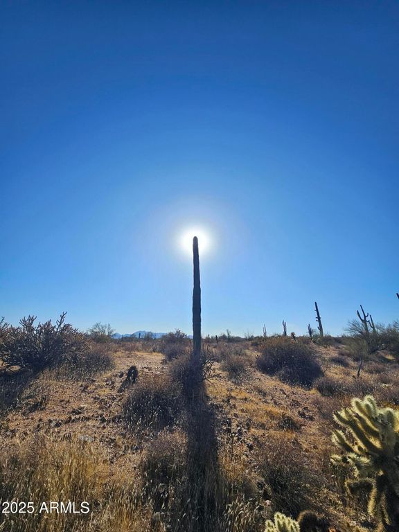 0001 N 174th Street -, Rio Verde, AZ 85263 — photo 3