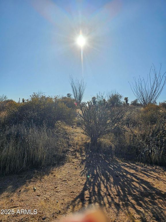 0001 N 174th Street -, Rio Verde, AZ 85263 — photo 4