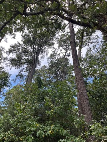 12147 Mustang Avenue, Willis, TX 77378