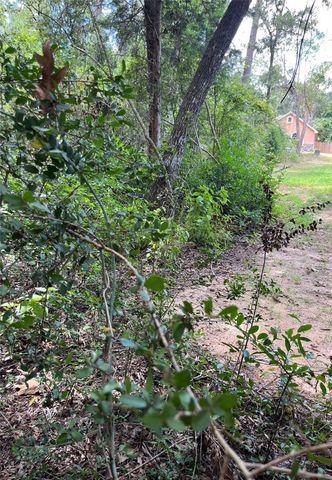 12147 Mustang Avenue, Willis, TX 77378