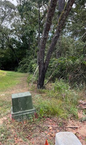 12147 Mustang Avenue, Willis, TX 77378