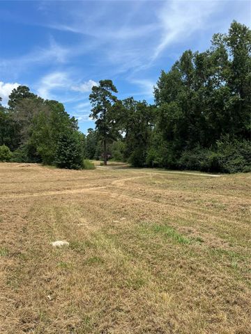 12147 Mustang Avenue, Willis, TX 77378