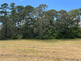 12147 Mustang Avenue, Willis, TX 77378