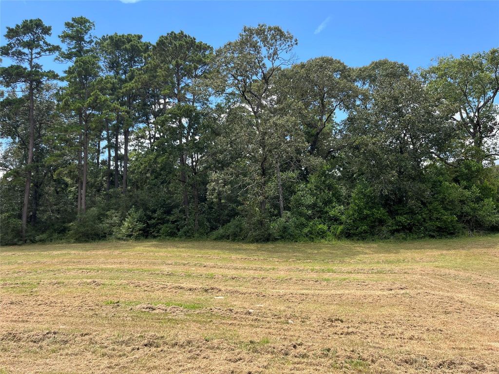 12147 Mustang Avenue, Willis, TX 77378