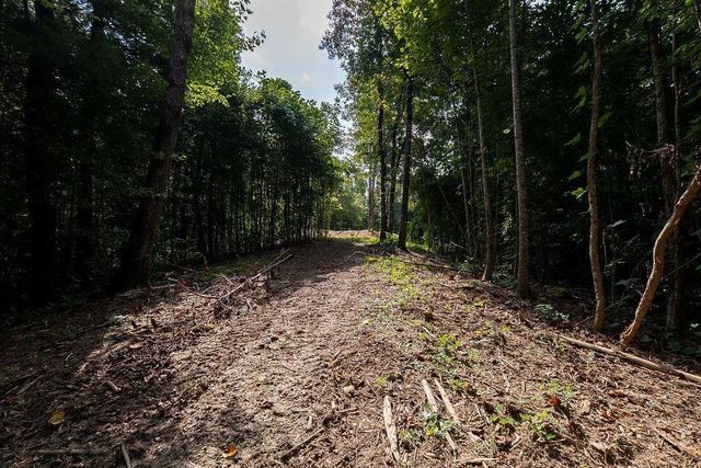 3280 Old Burnt Mountain Road, Jasper, GA 30143