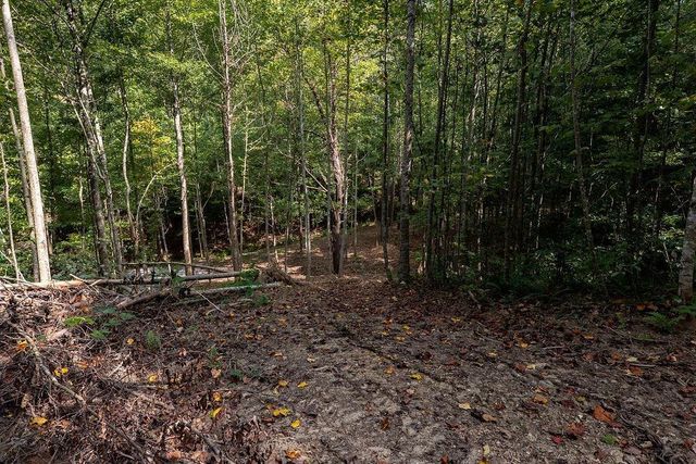 3280 Old Burnt Mountain Road, Jasper, GA 30143