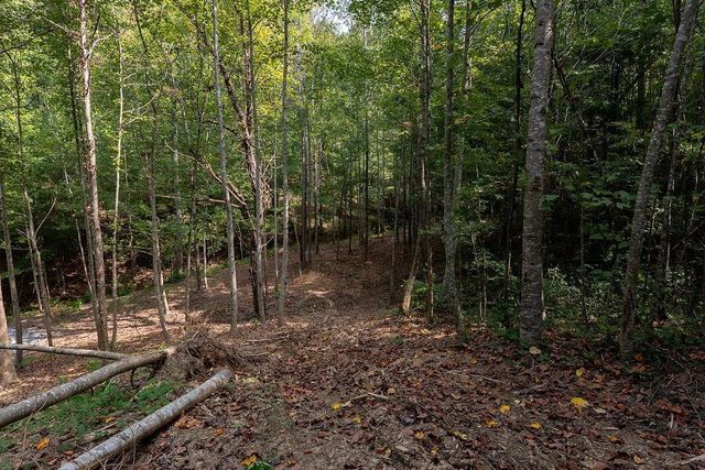 3280 Old Burnt Mountain Road, Jasper, GA 30143
