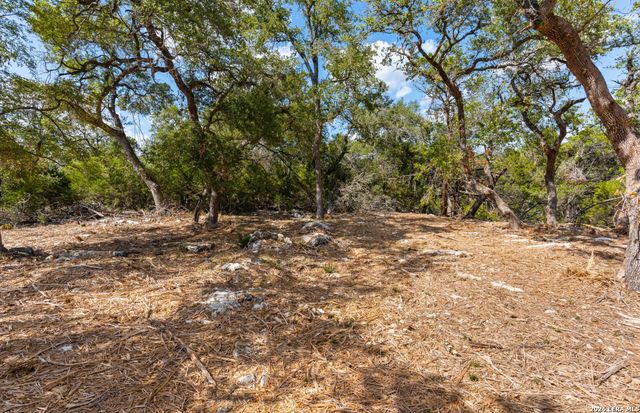 285 SCENIC CYN, New Braunfels, TX 78132