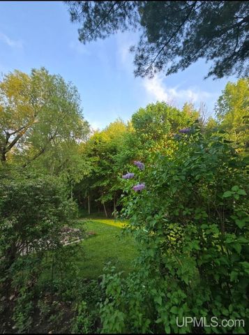 423 W Hampton Street, Marquette, MI 49855