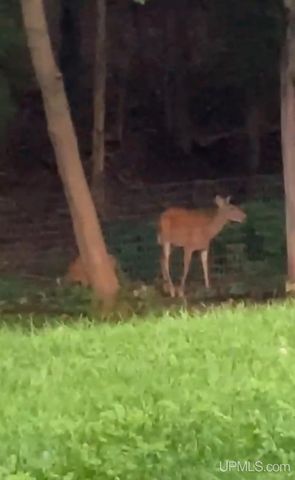 423 W Hampton Street, Marquette, MI 49855