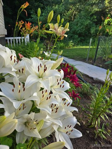 423 W Hampton Street, Marquette, MI 49855