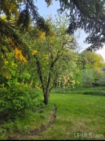 423 W Hampton Street, Marquette, MI 49855
