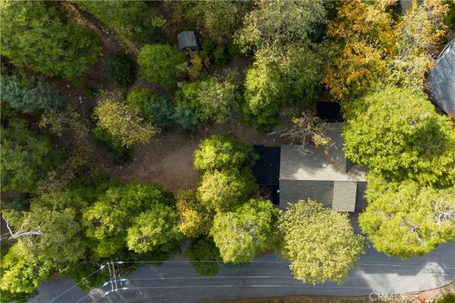 814 Glen View Lane, Twin Peaks, CA 92391